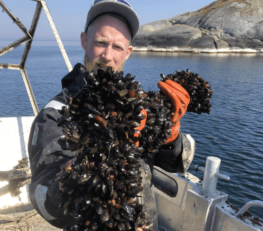Baltic Muppets project - Mussels Farm - Ecopelag